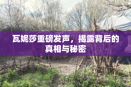 瓦妮莎重磅发声，揭露背后的真相与秘密