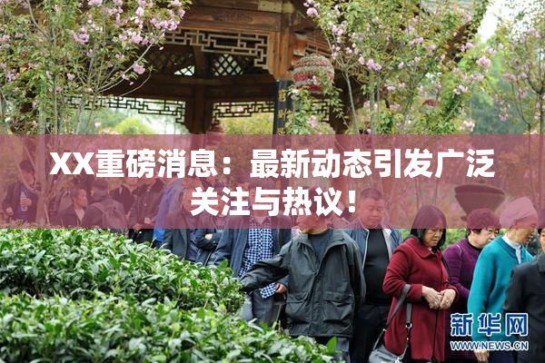 XX重磅消息：最新动态引发广泛关注与热议！