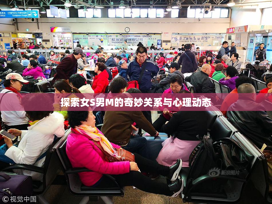 探索女S男M的奇妙关系与心理动态