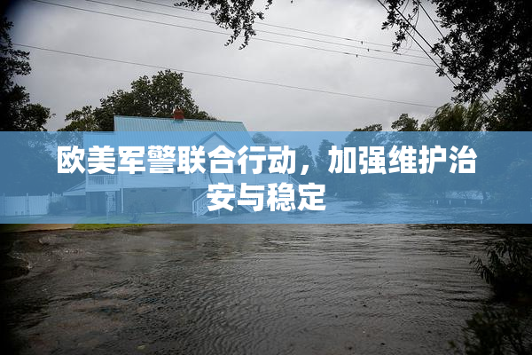 欧美军警联合行动，加强维护治安与稳定