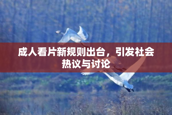 成人看片新规则出台，引发社会热议与讨论