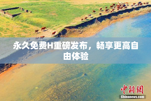 永久免费H重磅发布，畅享更高自由体验