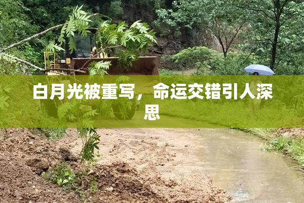 白月光被重写，命运交错引人深思