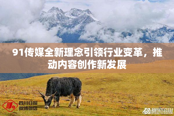 91传媒全新理念引领行业变革，推动内容创作新发展