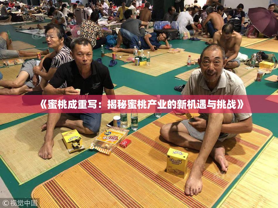 《蜜桃成重写：揭秘蜜桃产业的新机遇与挑战》