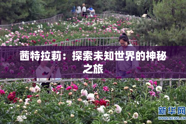 茜特拉莉：探索未知世界的神秘之旅