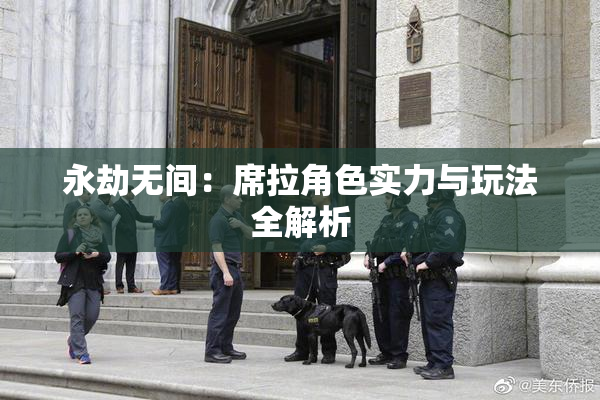永劫无间：席拉角色实力与玩法全解析