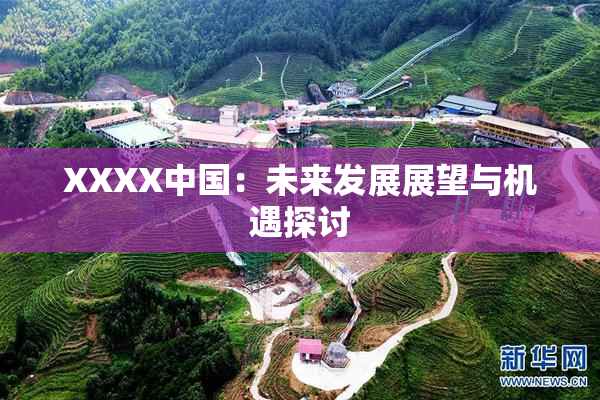 XXXX中国：未来发展展望与机遇探讨