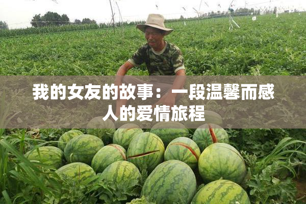 我的女友的故事：一段温馨而感人的爱情旅程