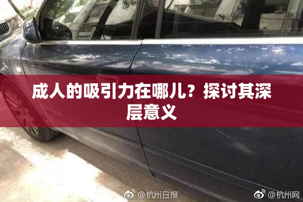 成人的吸引力在哪儿？探讨其深层意义