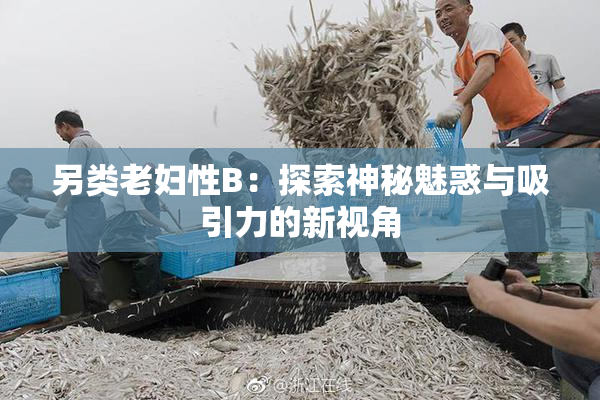 另类老妇性B：探索神秘魅惑与吸引力的新视角