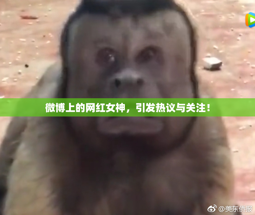 微博上的网红女神，引发热议与关注！