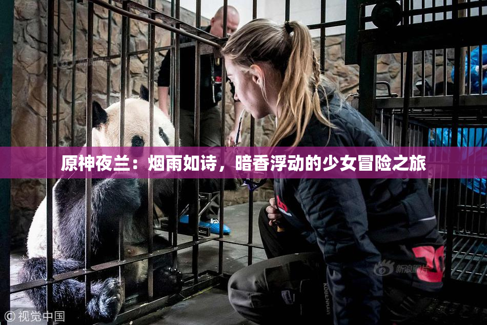 原神夜兰：烟雨如诗，暗香浮动的少女冒险之旅