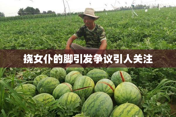 挠女仆的脚引发争议引人关注
