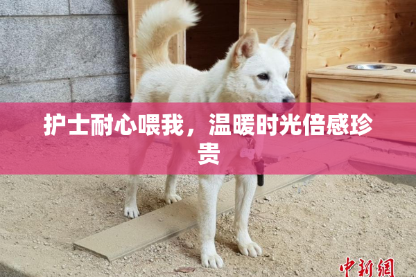 护士耐心喂我，温暖时光倍感珍贵