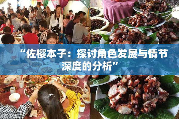 “佐樱本子：探讨角色发展与情节深度的分析”