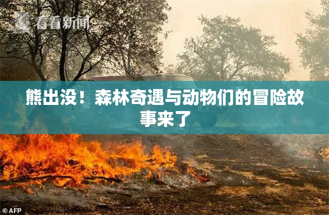 熊出没！森林奇遇与动物们的冒险故事来了
