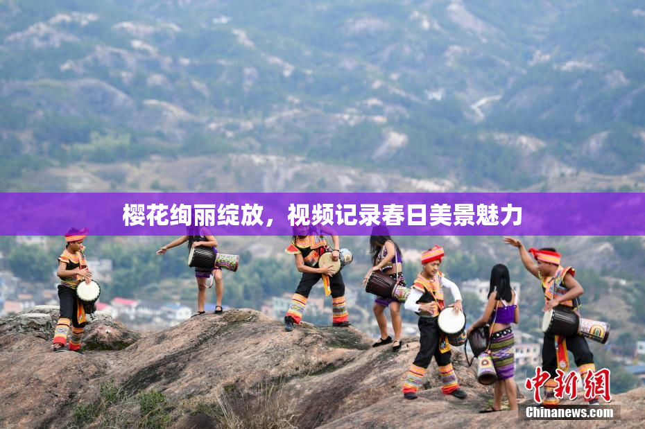 樱花绚丽绽放，视频记录春日美景魅力
