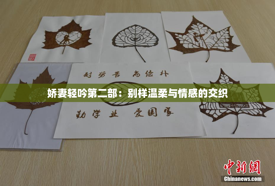 娇妻轻吟第二部：别样温柔与情感的交织