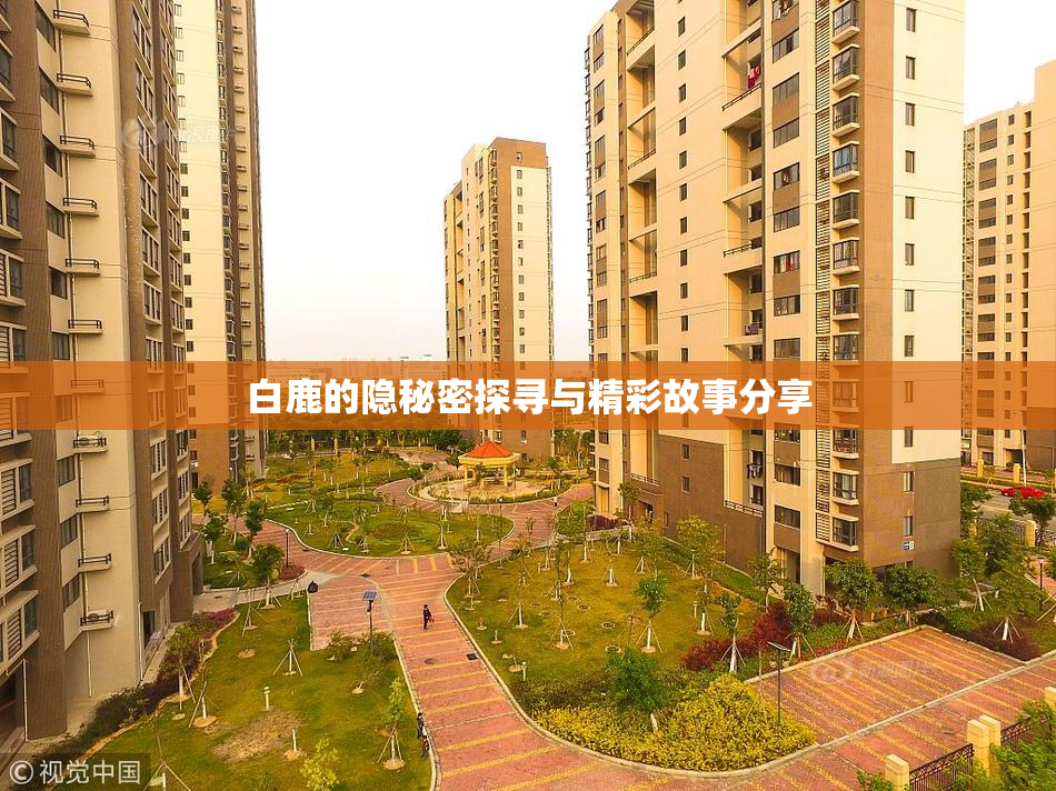 白鹿的隐秘密探寻与精彩故事分享