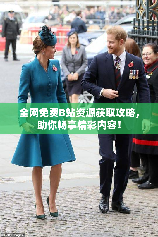 全网免费B站资源获取攻略，助你畅享精彩内容！
