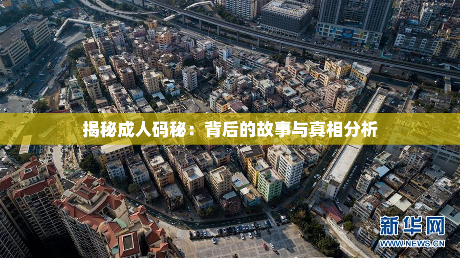 揭秘成人码秘：背后的故事与真相分析