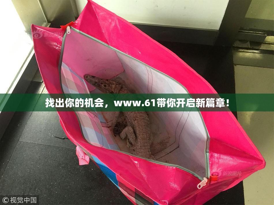 找出你的机会，www.61带你开启新篇章！