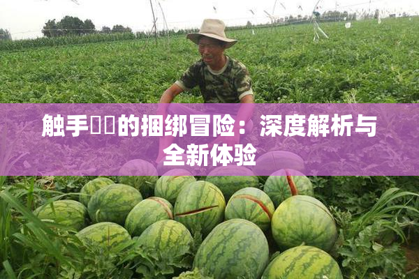 触手❌‌的捆绑冒险：深度解析与全新体验