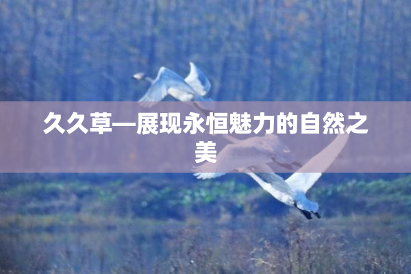 久久草—展现永恒魅力的自然之美
