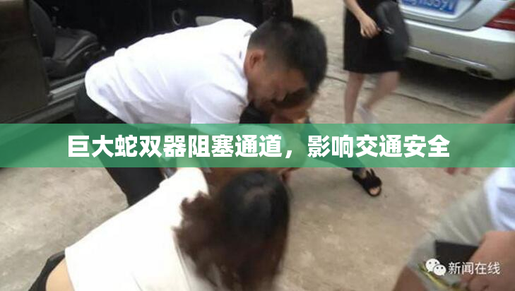 巨大蛇双器阻塞通道，影响交通安全