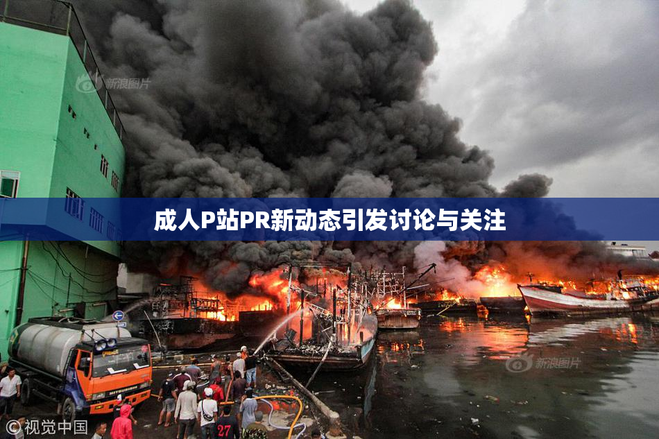 成人P站PR新动态引发讨论与关注