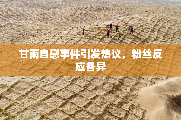 甘雨自慰事件引发热议，粉丝反应各异