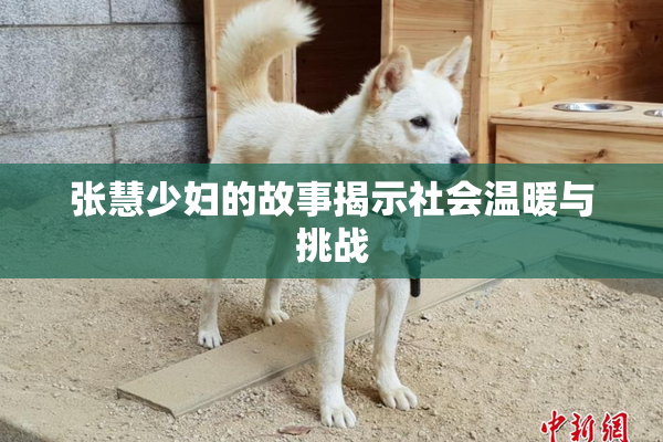 张慧少妇的故事揭示社会温暖与挑战