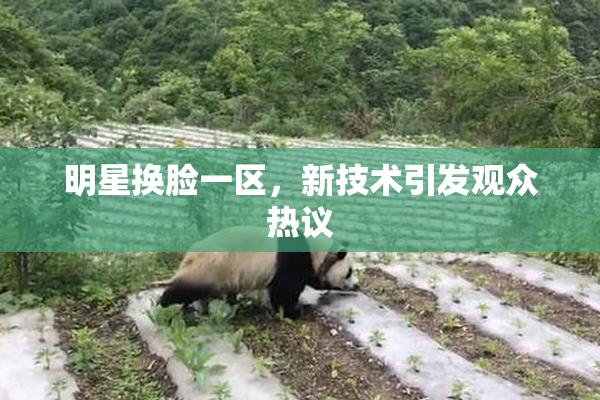 明星换脸一区，新技术引发观众热议