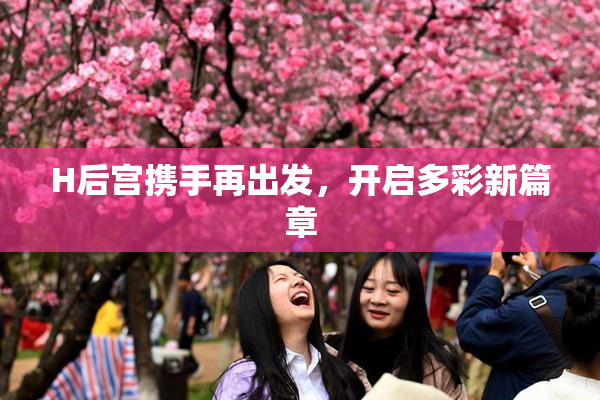 H后宫携手再出发，开启多彩新篇章