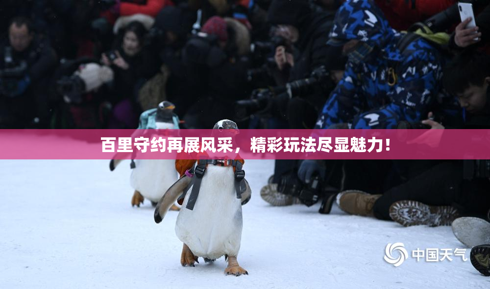 百里守约再展风采，精彩玩法尽显魅力！