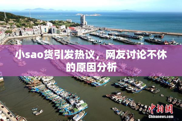 小sao货引发热议，网友讨论不休的原因分析