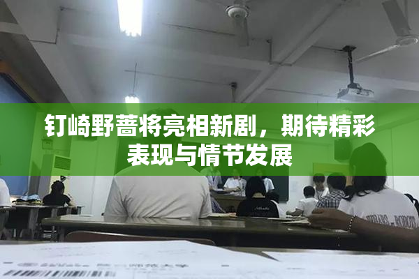 钉崎野蔷将亮相新剧，期待精彩表现与情节发展