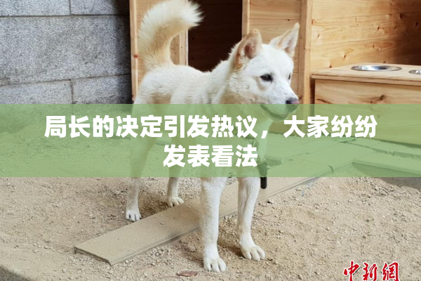 局长的决定引发热议，大家纷纷发表看法