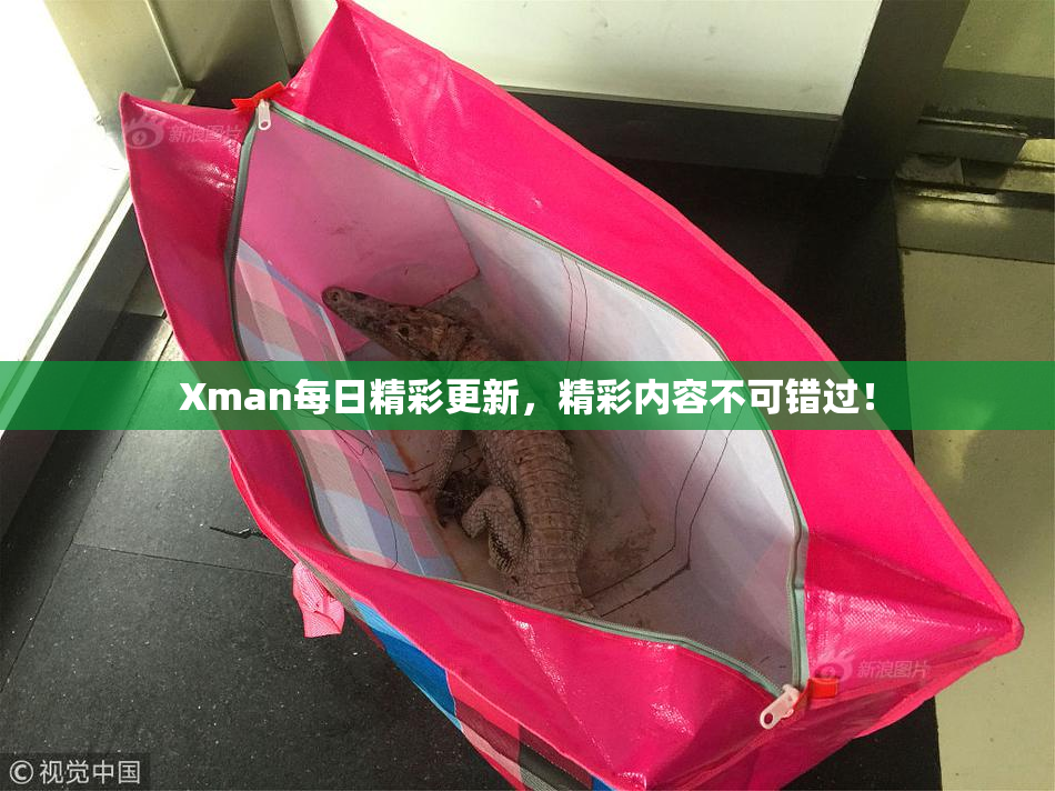 Xman每日精彩更新，精彩内容不可错过！