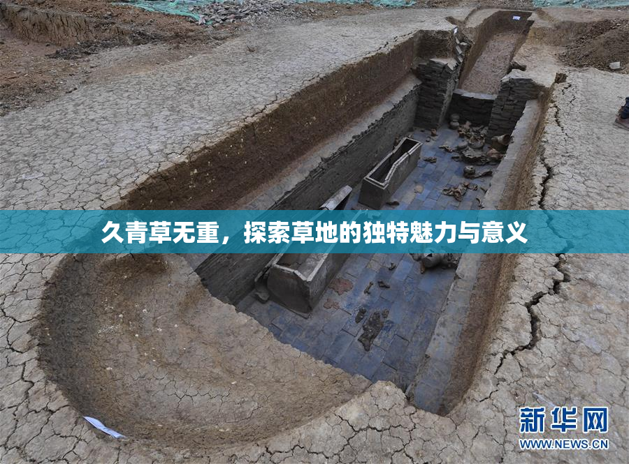 久青草无重，探索草地的独特魅力与意义
