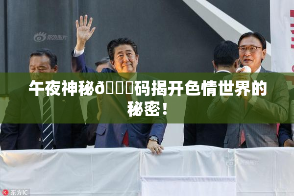 午夜神秘🈚码揭开色情世界的秘密！