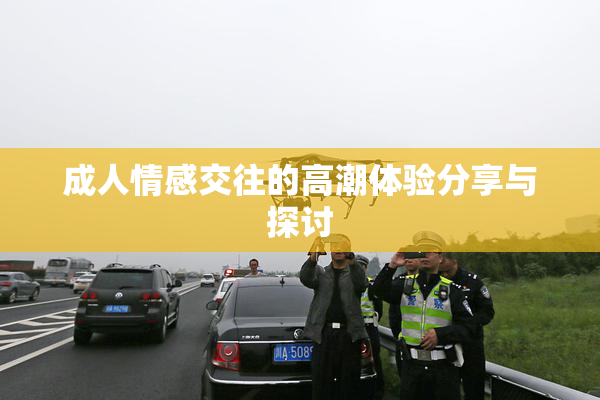 成人情感交往的高潮体验分享与探讨