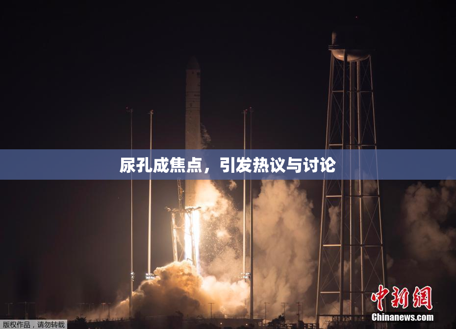 尿孔成焦点，引发热议与讨论