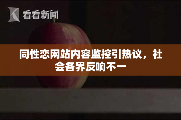 同性恋网站内容监控引热议，社会各界反响不一
