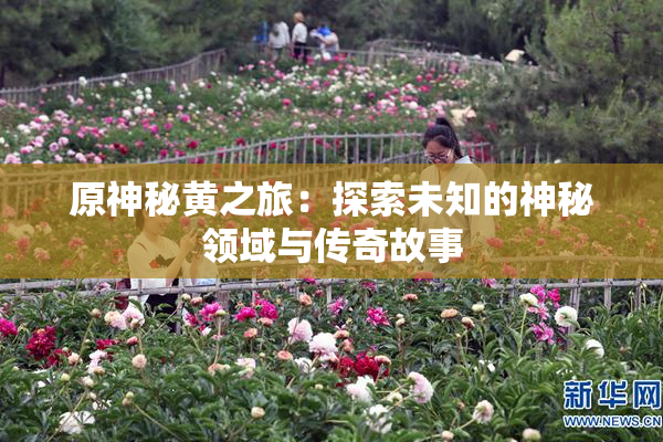 原神秘黄之旅：探索未知的神秘领域与传奇故事