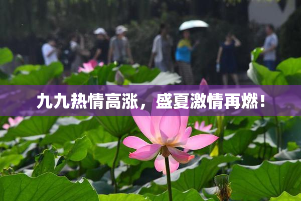 九九热情高涨，盛夏激情再燃！