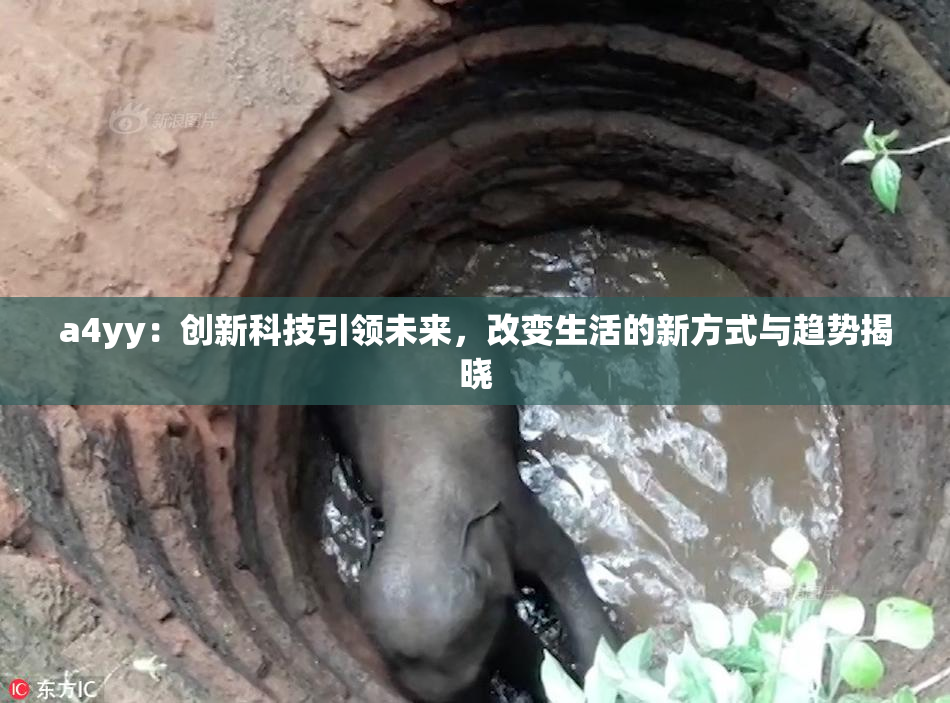 a4yy：创新科技引领未来，改变生活的新方式与趋势揭晓