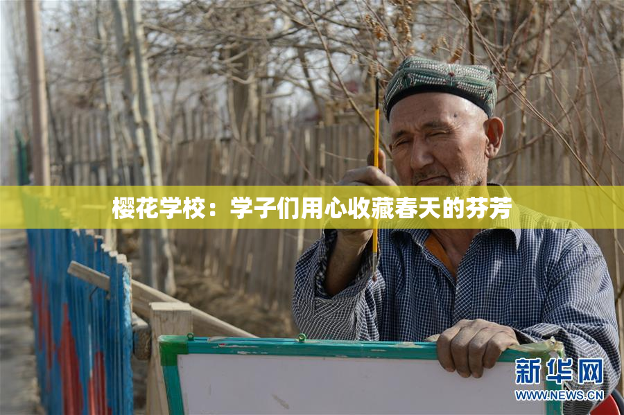 樱花学校：学子们用心收藏春天的芬芳