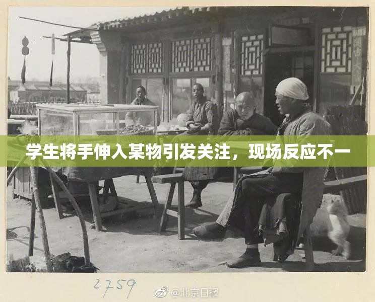 学生将手伸入某物引发关注，现场反应不一